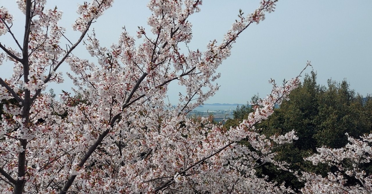 2025年 御津山園地の桜|あいりっくす 2025年 御津山園地の桜|あいりっくす