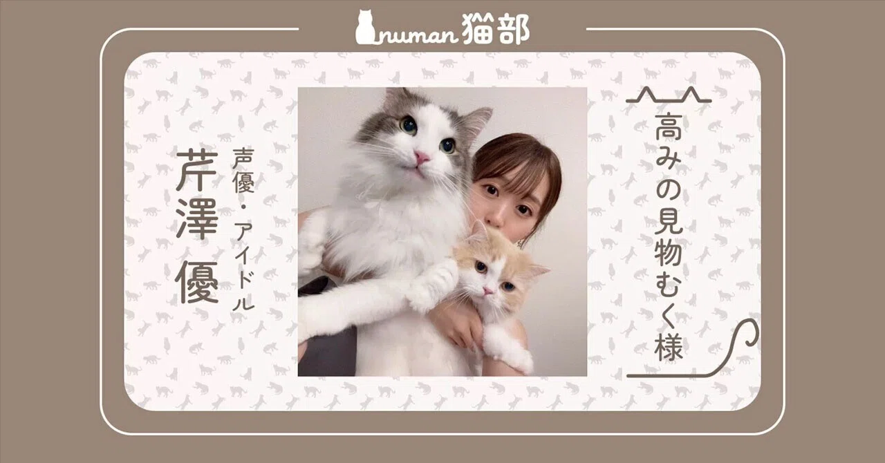 芹澤優「高みの見物むく様」の避難場所とは…【numan猫部】｜numan