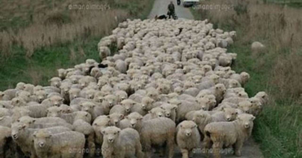 婚喝ノート その4 女子たちよ 群れるな危険 アロンアルファ荒木直美 Note