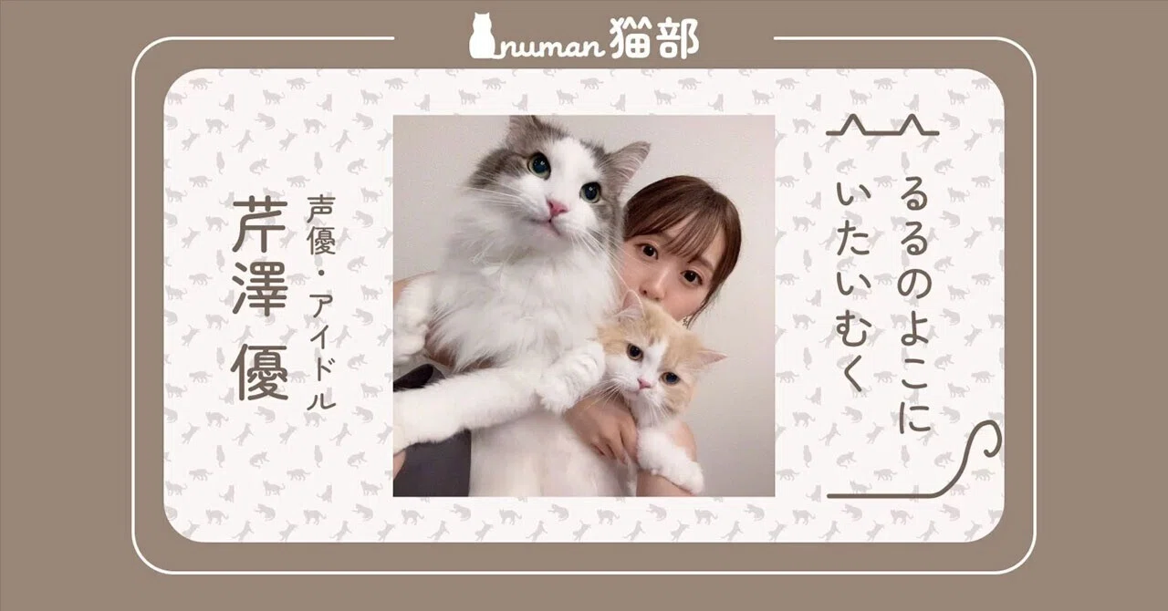 芹澤優「るるのよこにいたいむく」むく＆るるちゃんの猫の本能（？）が