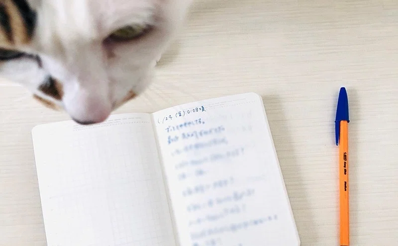 寝付きが悪い時 不安なことをノートに書いたら不思議と眠れる スズキアユミ デザインメモ Note