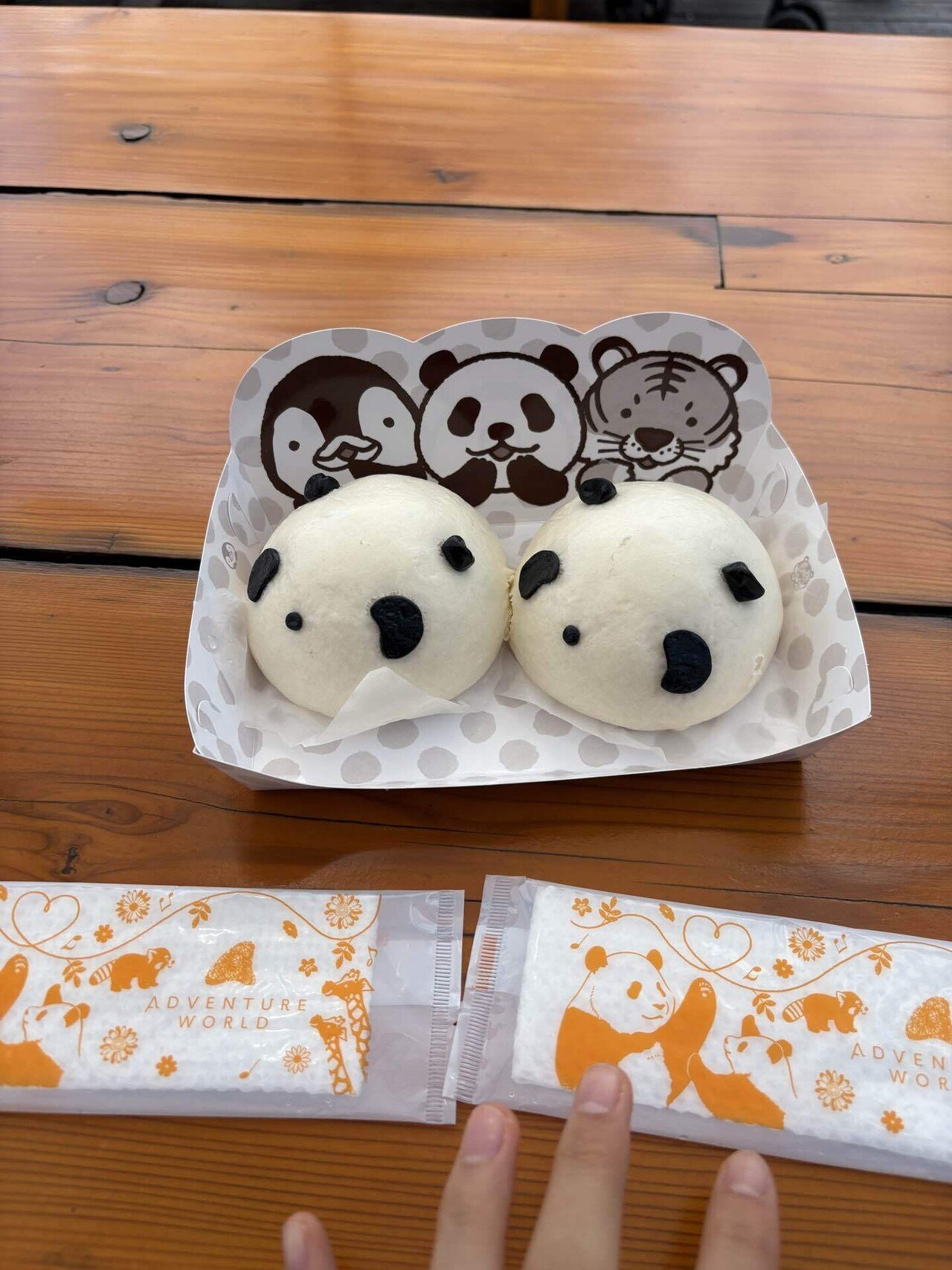 アドベンチャーワールドに行ってきた✨🐼｜きょん