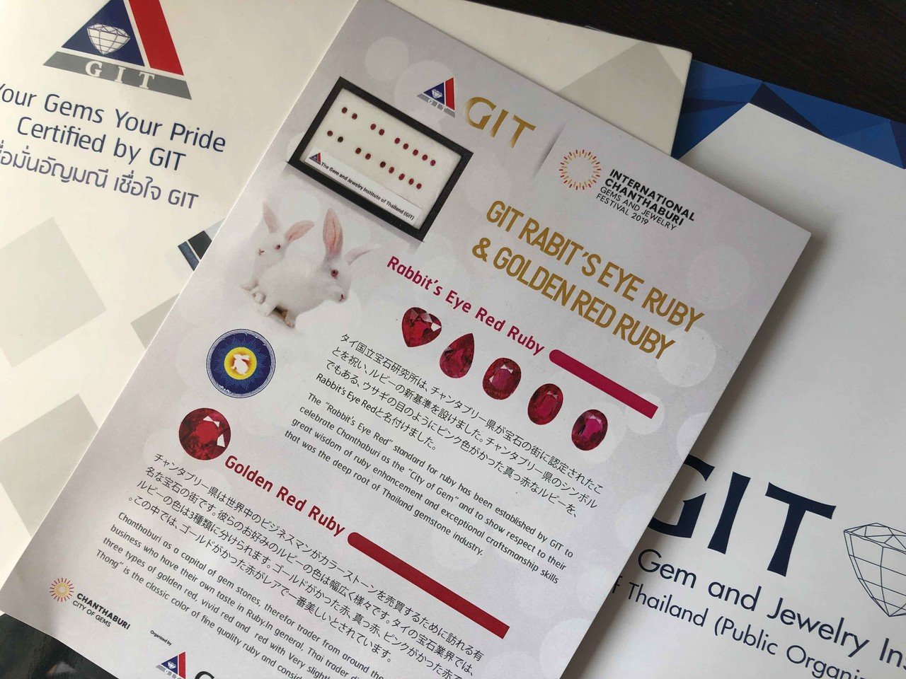 Rabbit's Eye Red Ruby｜MOEMI SUGIMURA