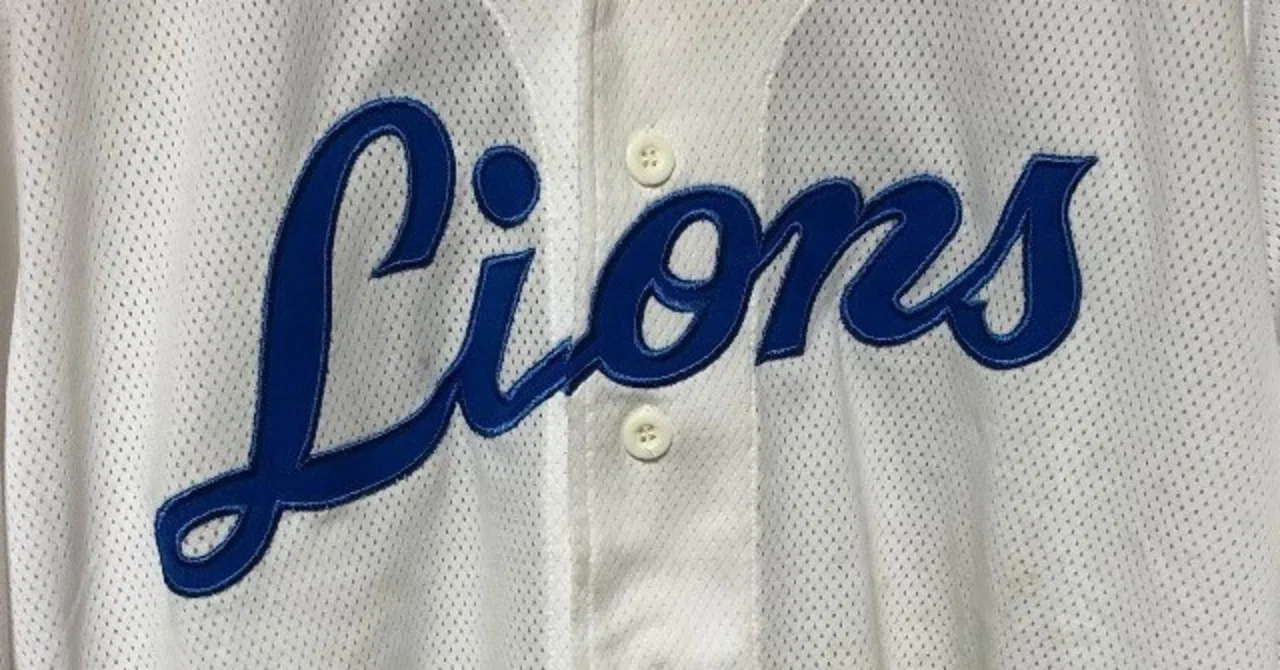 私家版・プロ野球ユニフォーム史 2004-2020 Vol.11｜やまだしょてん