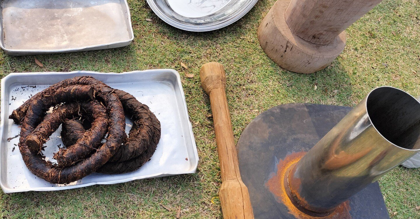 5.アヤワスカ儀式を深める4つの秘薬(前半)ハペとサナンガ ｜愉快米