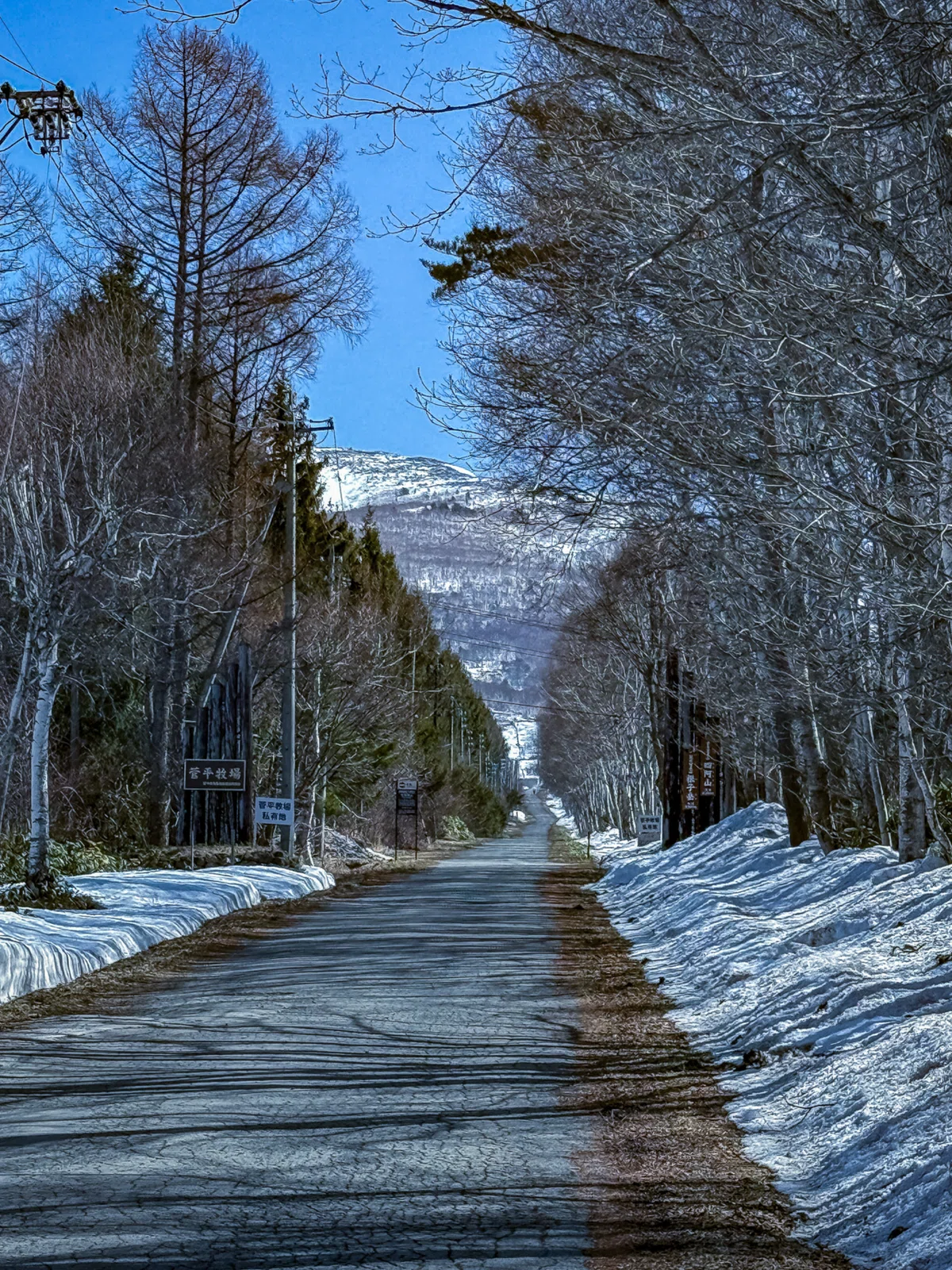 蛍雪アルシェ　1998年4月〜1999年2月 最後の雪の四阿山。雪山歩きと長野上田のプチひとり旅。｜しみじみ山歩き