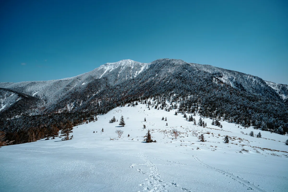 蛍雪アルシェ　1998年4月〜1999年2月 最後の雪の四阿山。雪山歩きと長野上田のプチひとり旅。｜しみじみ山歩き