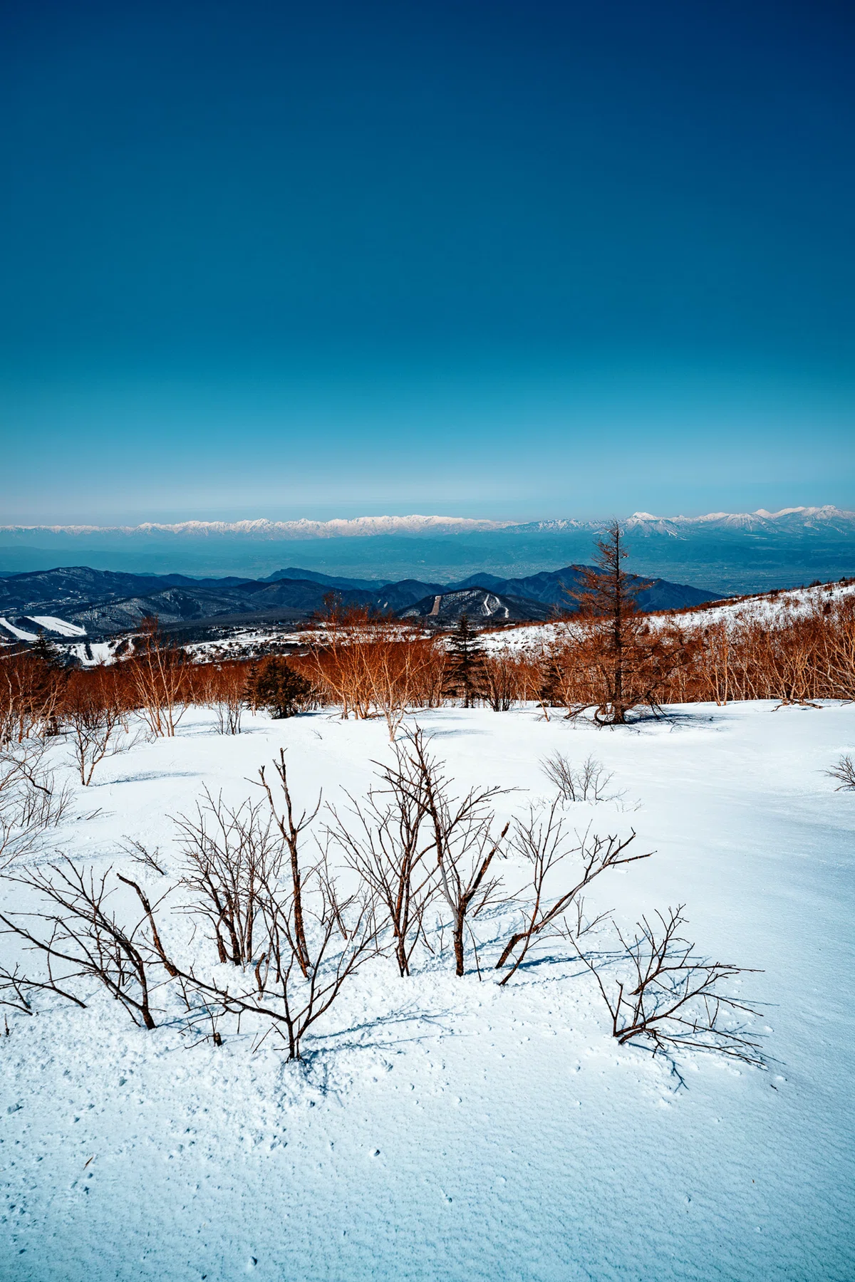 最後の雪の四阿山。雪山歩きと長野上田のプチひとり旅。｜しみじみ山歩き