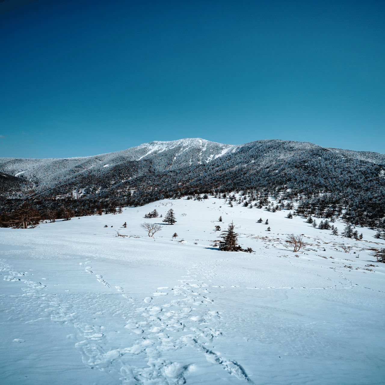 最後の雪の四阿山。雪山歩きと長野上田のプチひとり旅。｜しみじみ山歩き