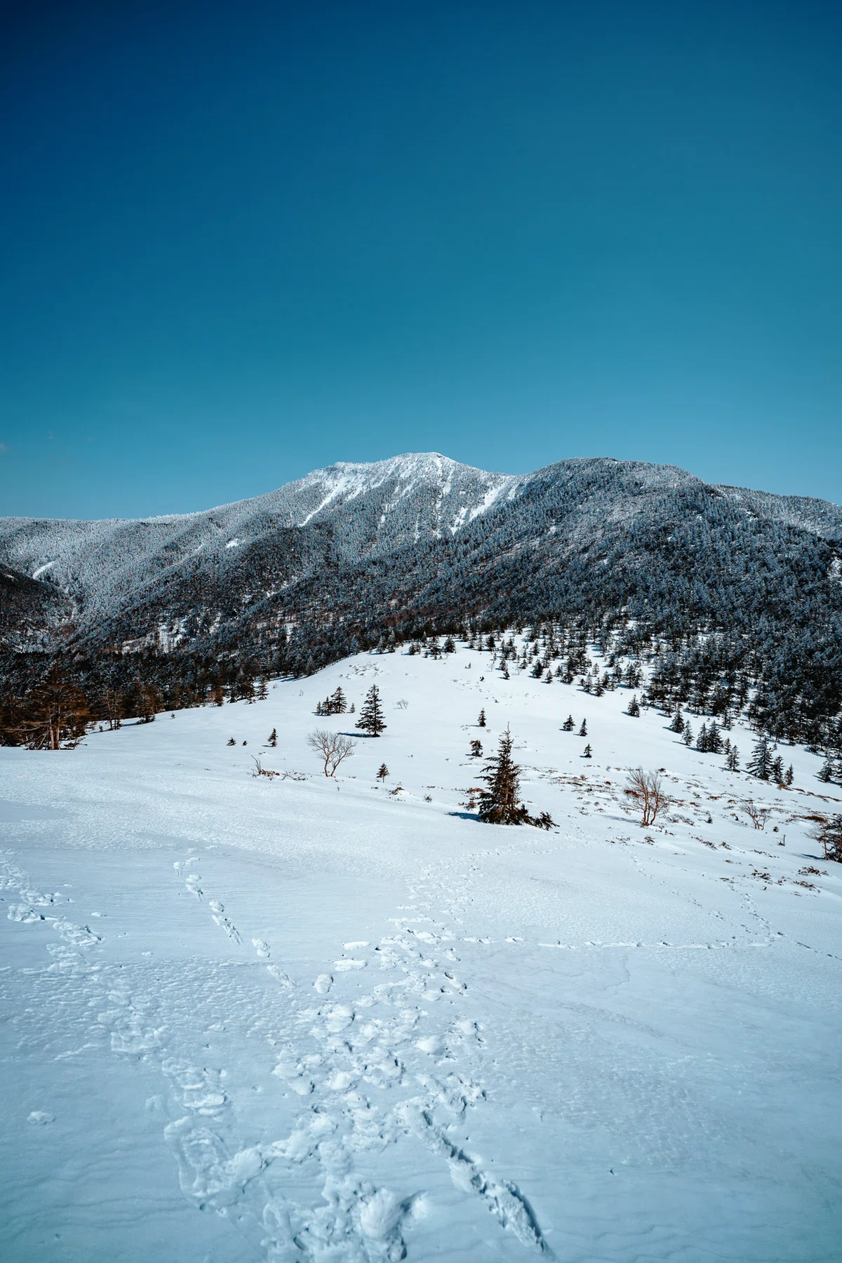 最後の雪の四阿山。雪山歩きと長野上田のプチひとり旅。｜しみじみ