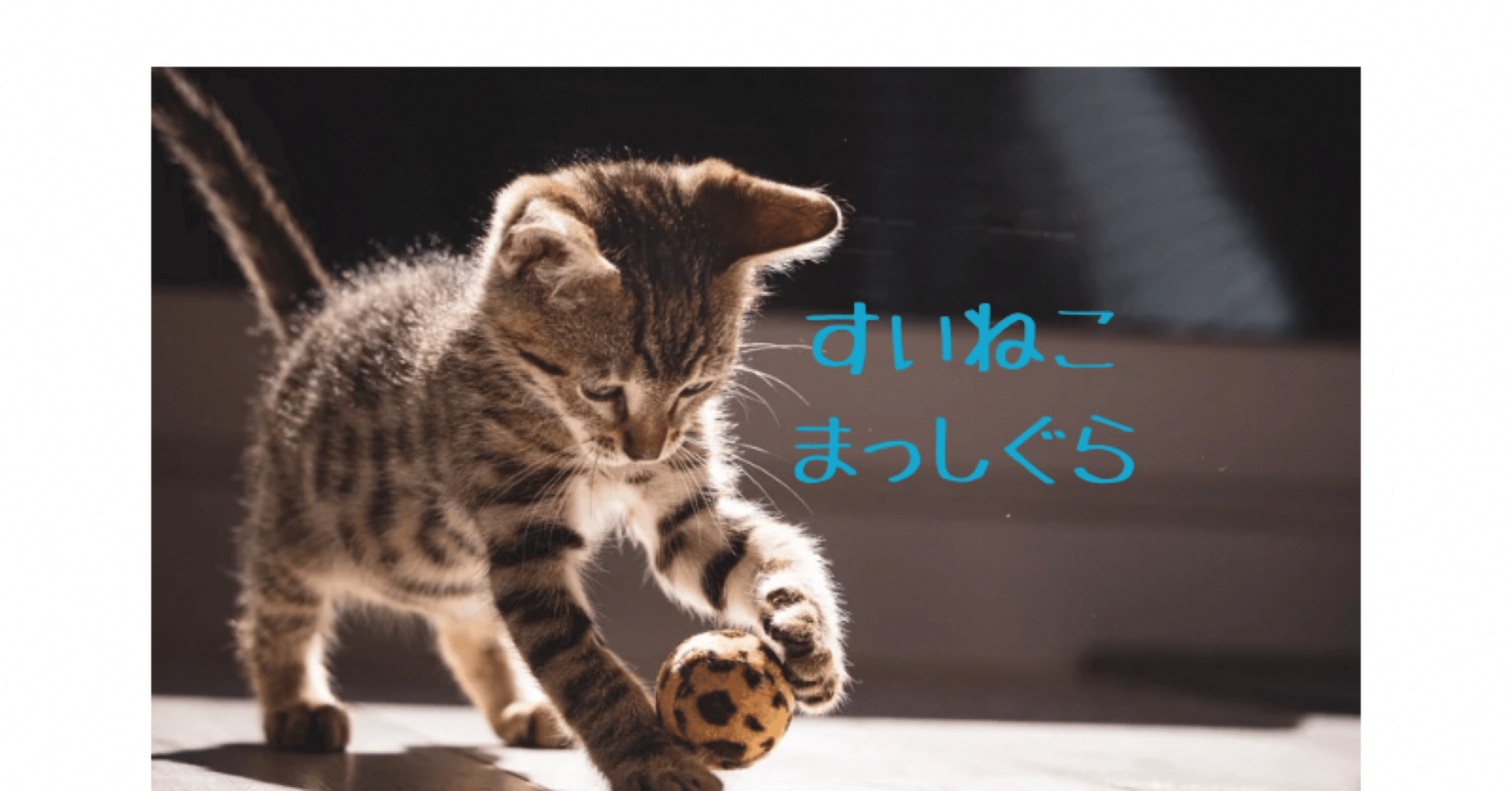 水曜日のネコ好きの雑多な趣味と人間性まとめ｜水曜日のネコ好き｜note