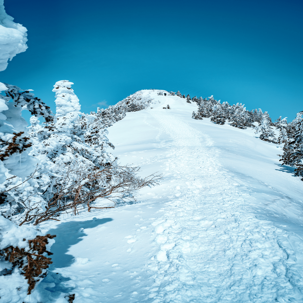 最後の雪の四阿山。雪山歩きと長野上田のプチひとり旅。｜しみじみ山歩き
