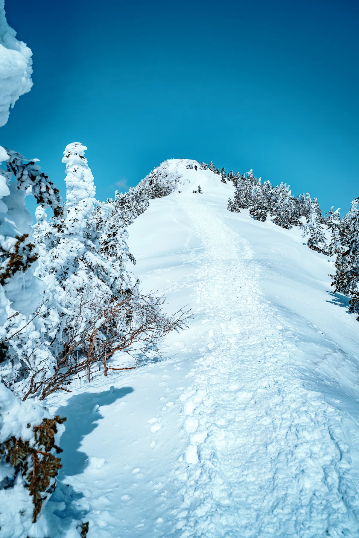 最後の雪の四阿山。雪山歩きと長野上田のプチひとり旅。｜しみじみ山歩き