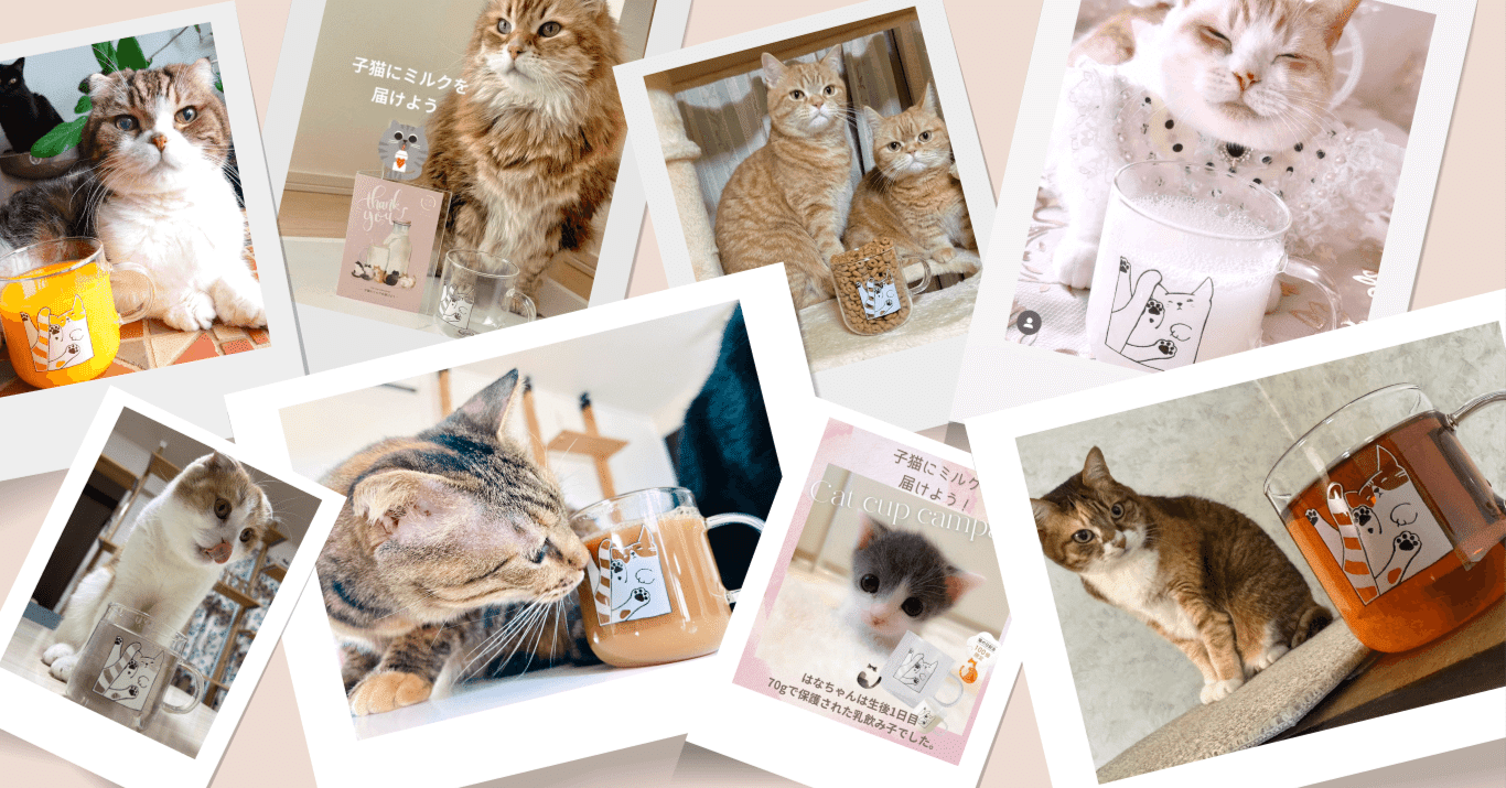 キャンペーン結果報告】子猫ちゃん108,297食分のミルクを保護団体さま