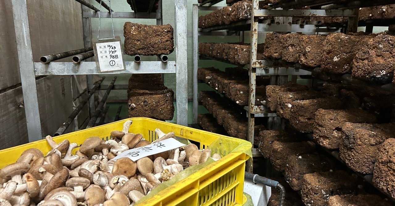 【淡路島クエストカレッジ】言葉で福祉を届ける挑戦─取材を通して見えた、自分と社会のつながり