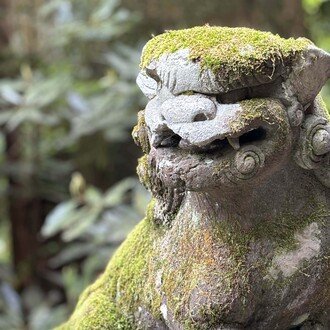 最愛の若冲晩年水墨画『蓮池図』 華やかな極彩色群鶏図裏に 最愛の若冲晩年水墨画『蓮池図』 華やかな極彩色群鶏図裏に