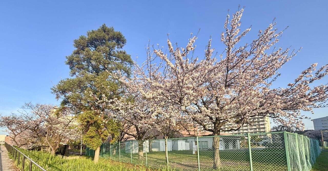 英語洋書】 魅力的な建築景観と都市：GSD075、ハーバード大学