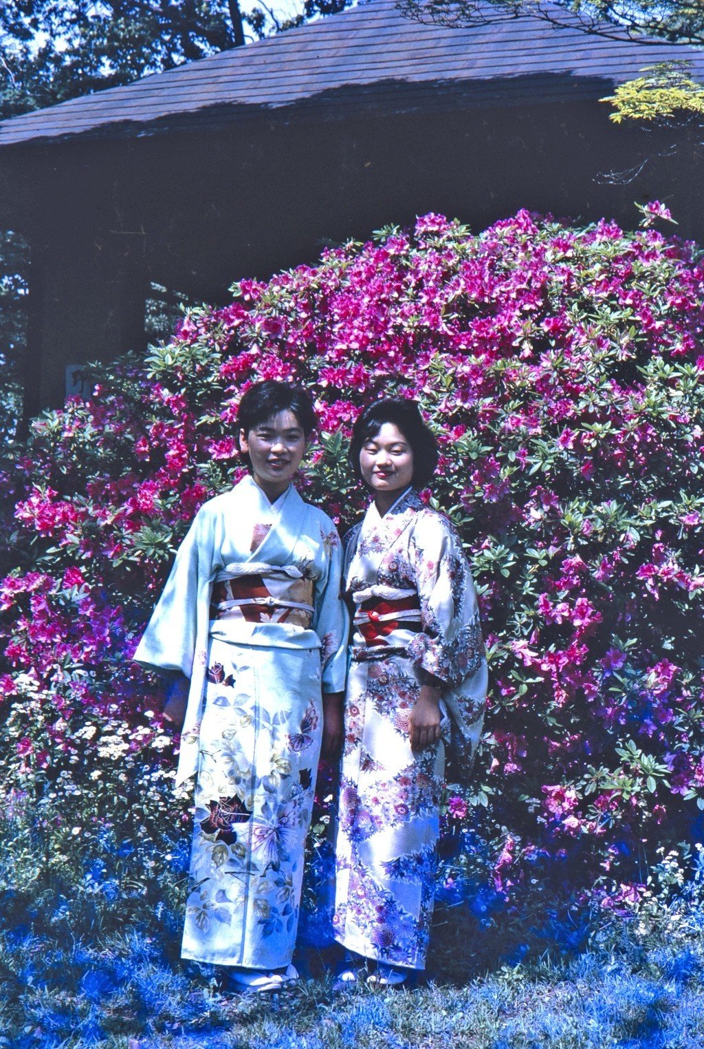 キモノが普段着」だったあの頃の、色鮮やかな写真。｜光文社新書