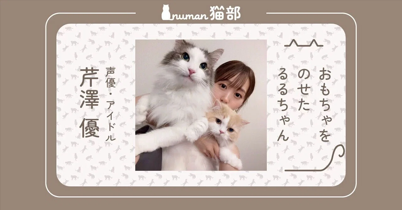 ファッション小物 天使猫の恋愛成就 選ばれる愛・勝ち取るオルゴプレート