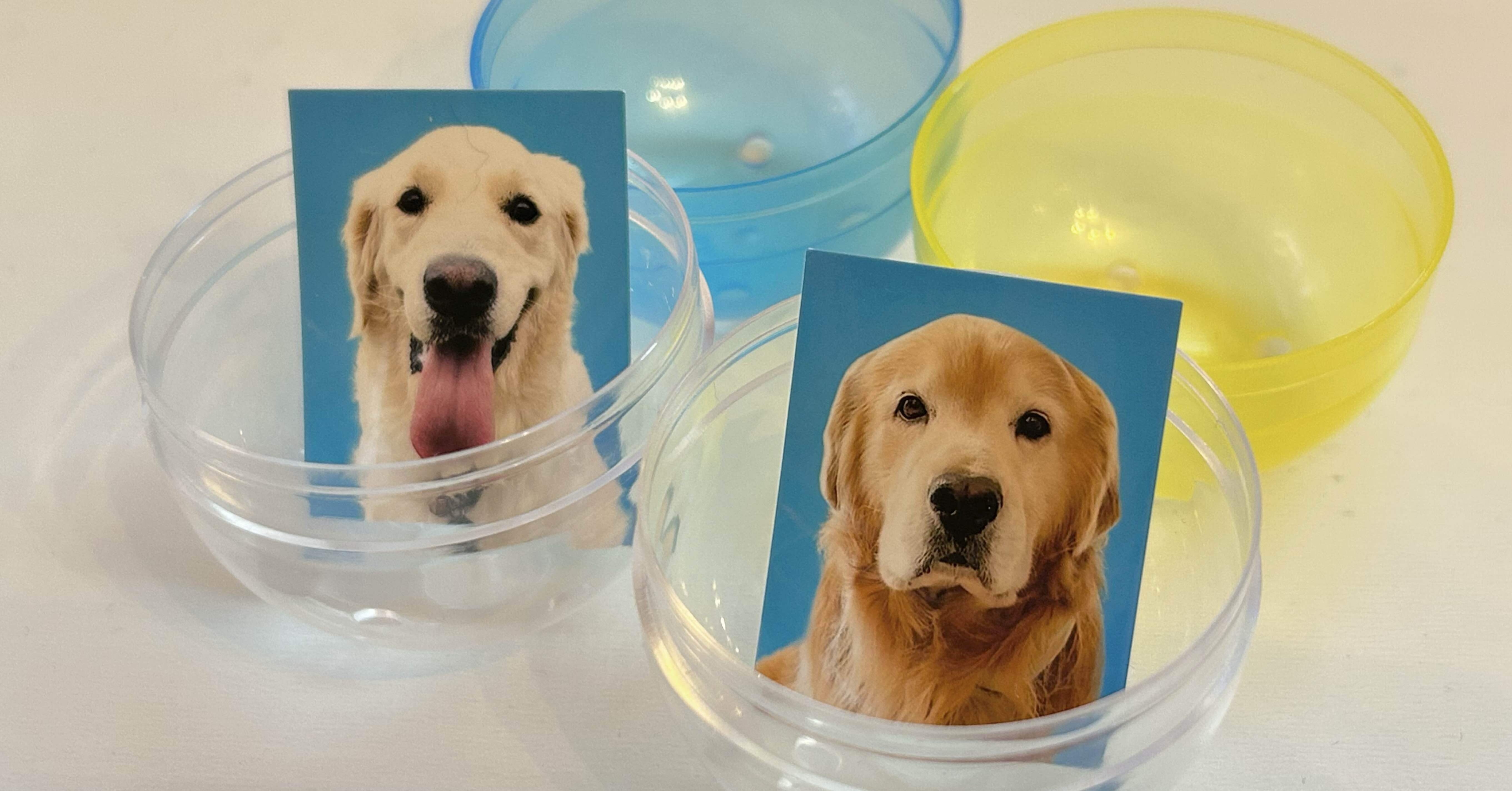 4080311caa30615d3087e71d35952c