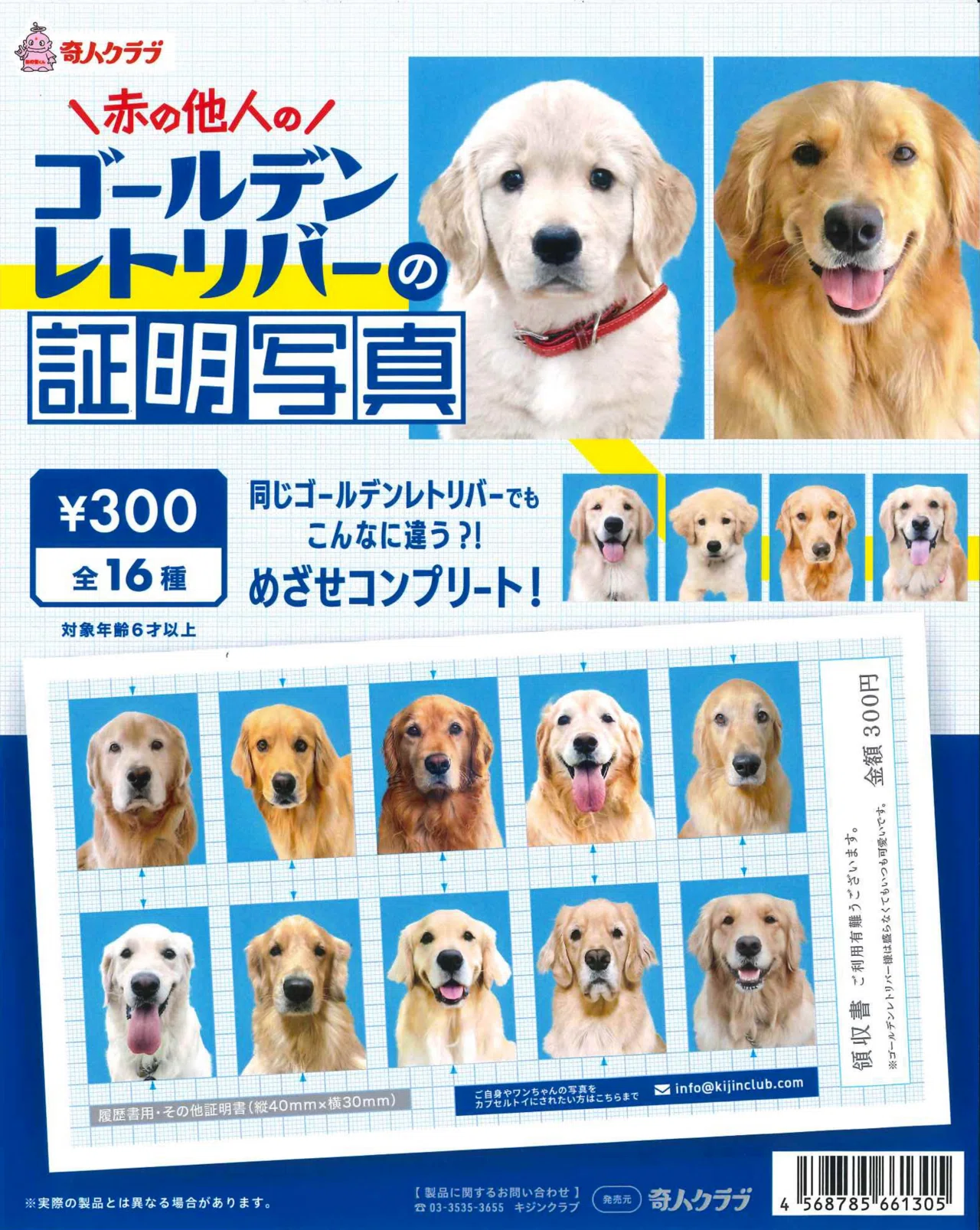 ちょっとだけ見てほしい｜ 茉