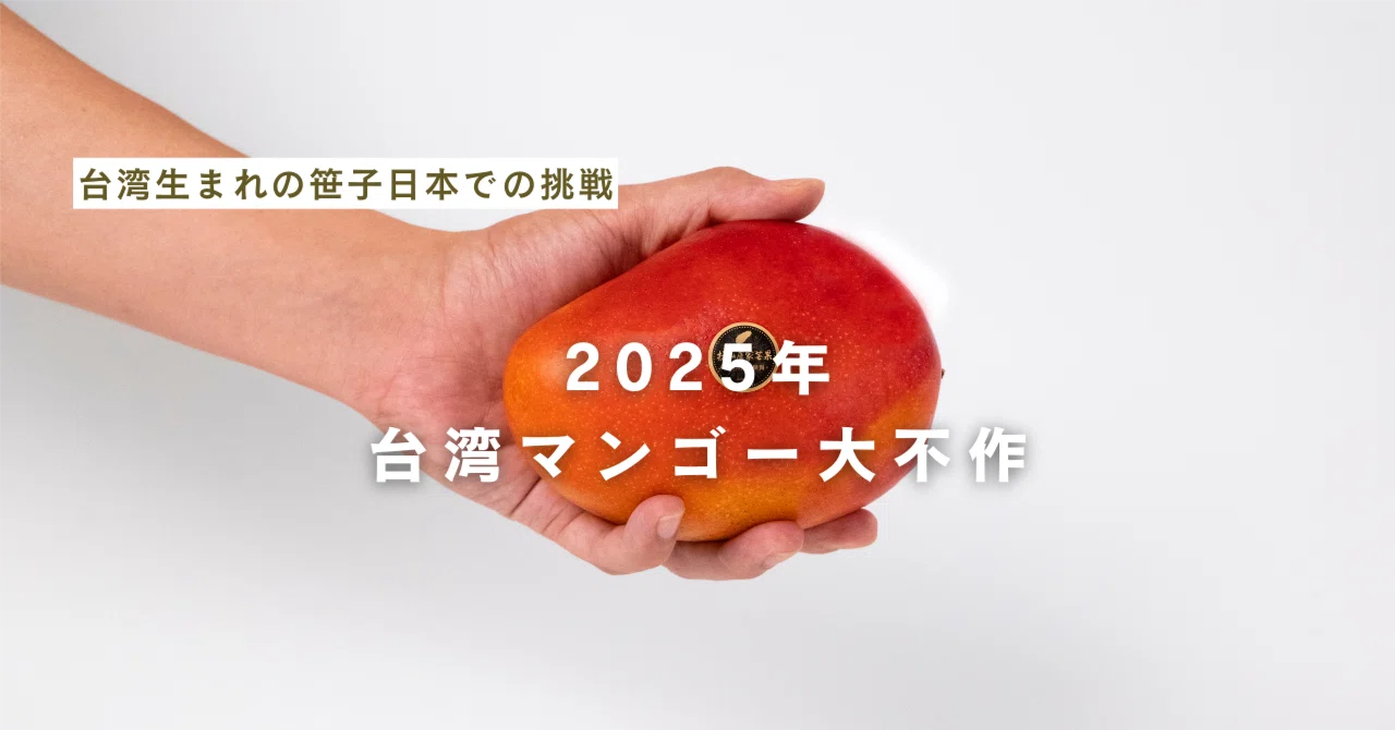 2025年台湾マンゴー大不作｜チャンピオンマンゴー® 台湾マンゴーと時々 