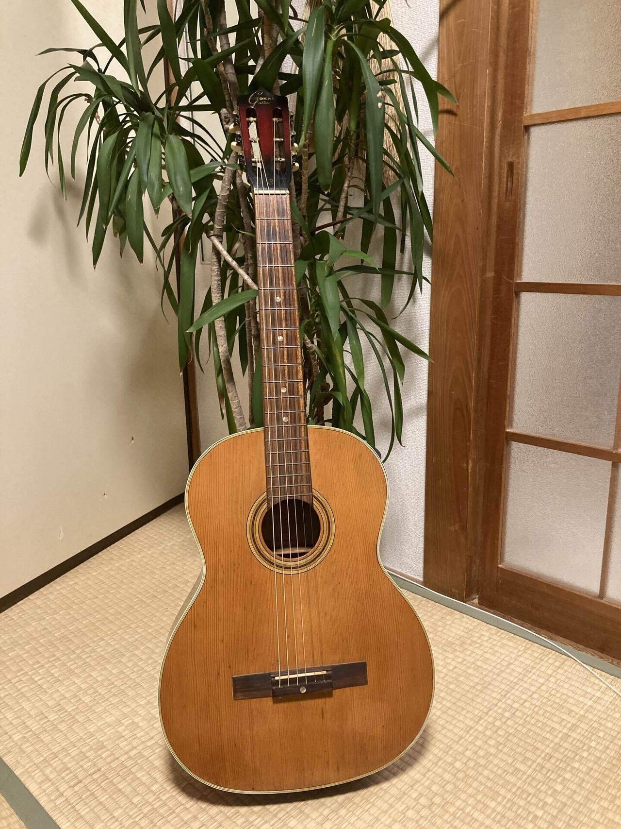 【売れ筋】 Tokai 鉄線ギター｜hoocoochie No.540 ART ギター
