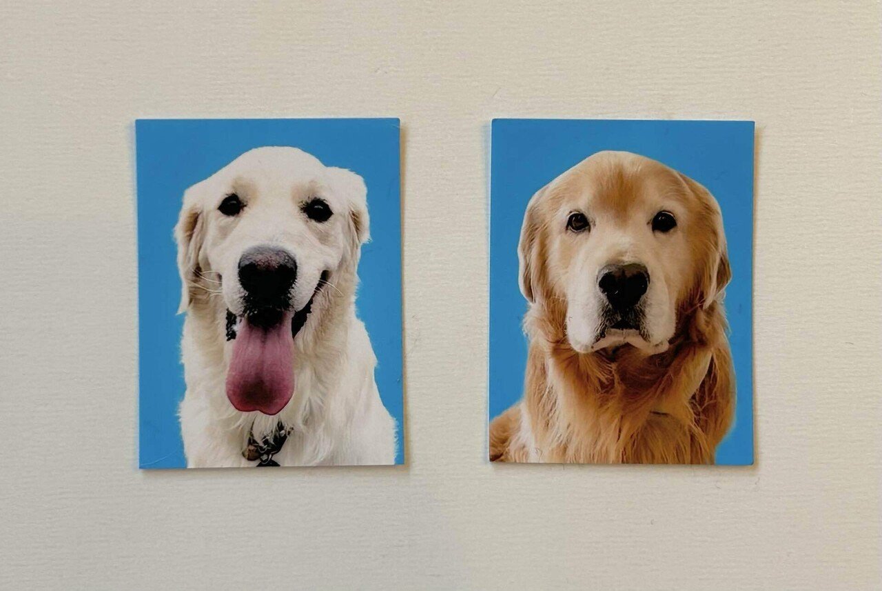 ちょっとだけ見てほしい｜ 茉