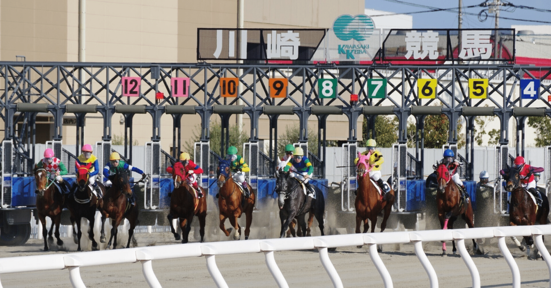 Amazon.co.jp: ライト開発競馬予想 極4 : ホーム＆キッチン