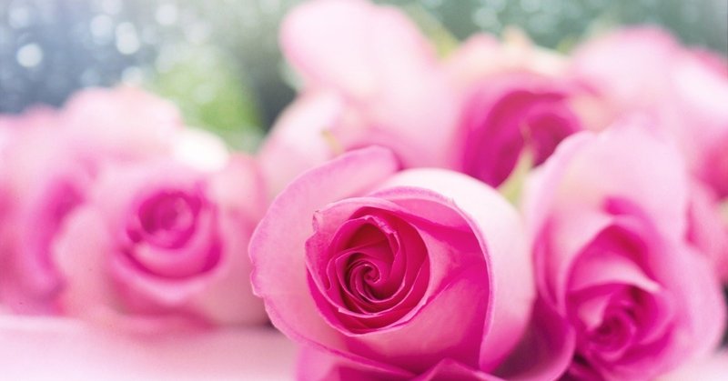 鈴木けいこさん の新着タグ記事一覧 Note つくる つながる とどける