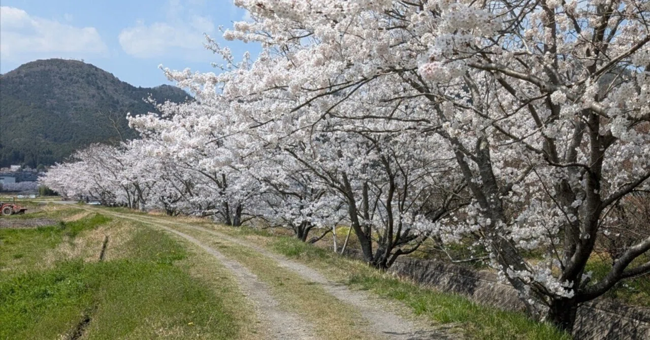 めぐる春｜はるかぜ工房