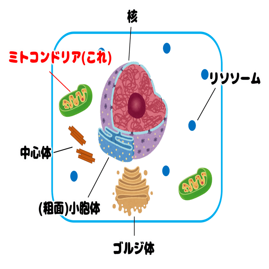 百聞あると一見の価値が上がる 豊永拓哉 タク Note