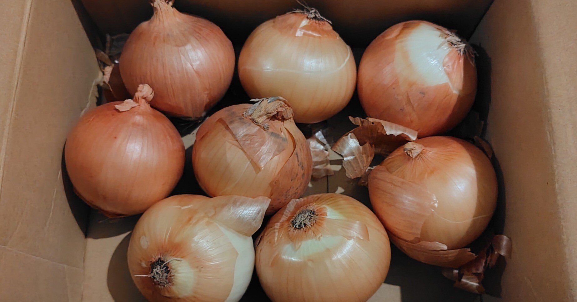 fcd0d7d3ce574d702344e732384a7f