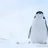 ことり