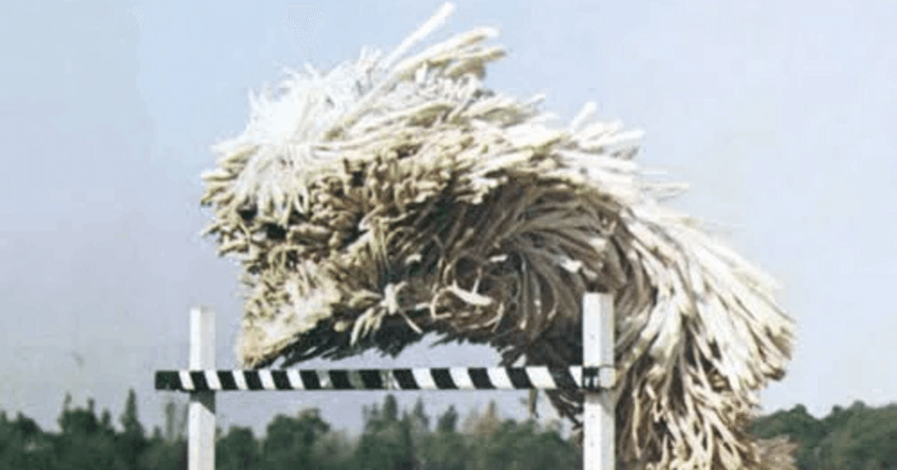 まいたく名盤紹介No.17：Odelay - Beck｜まいたく