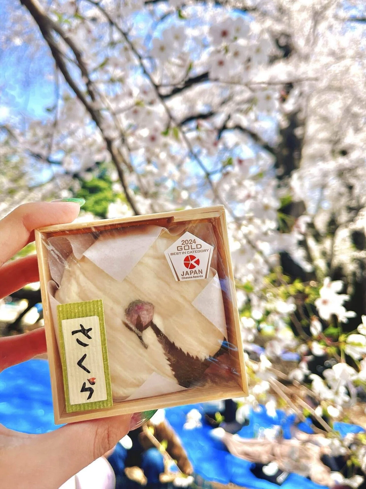 るん様　２枚セット　【はるのお花見】【モーニング】 陸の孤島で朝シャン花見｜ほおずき