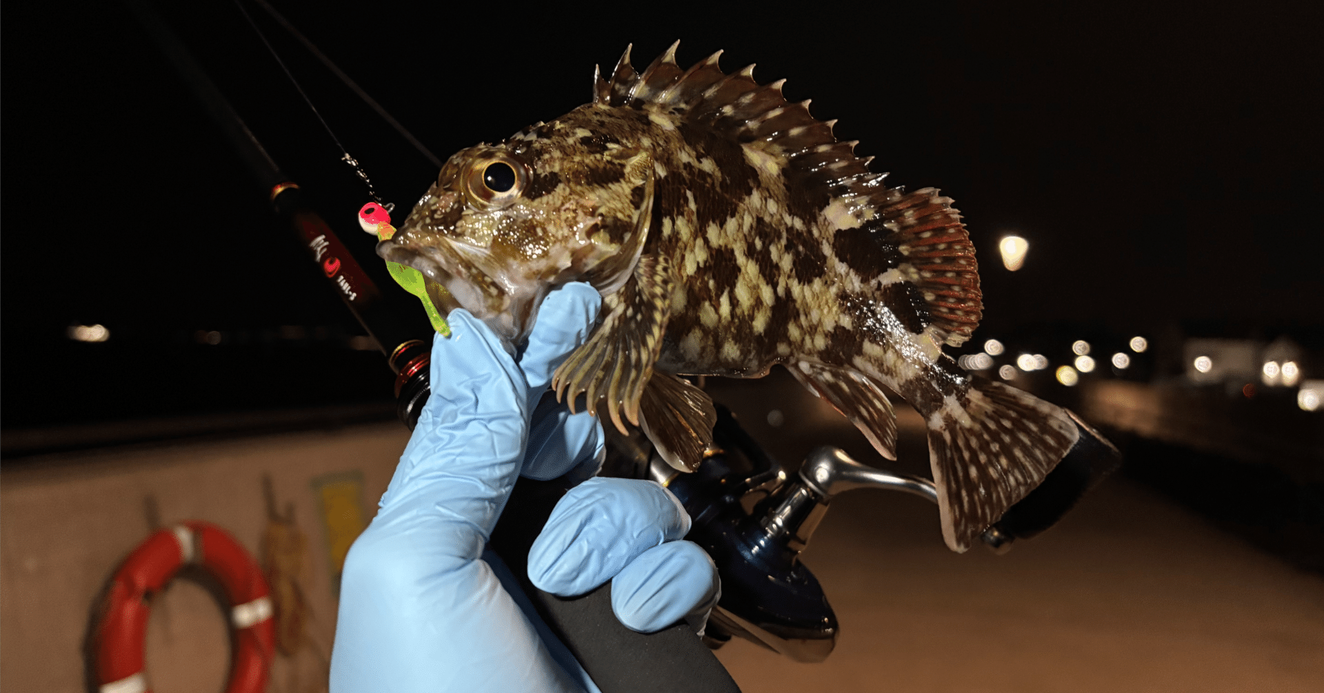 釣行記#68 【4月上旬】金沢水際線緑地での釣り【中潮】メバル・カサゴ