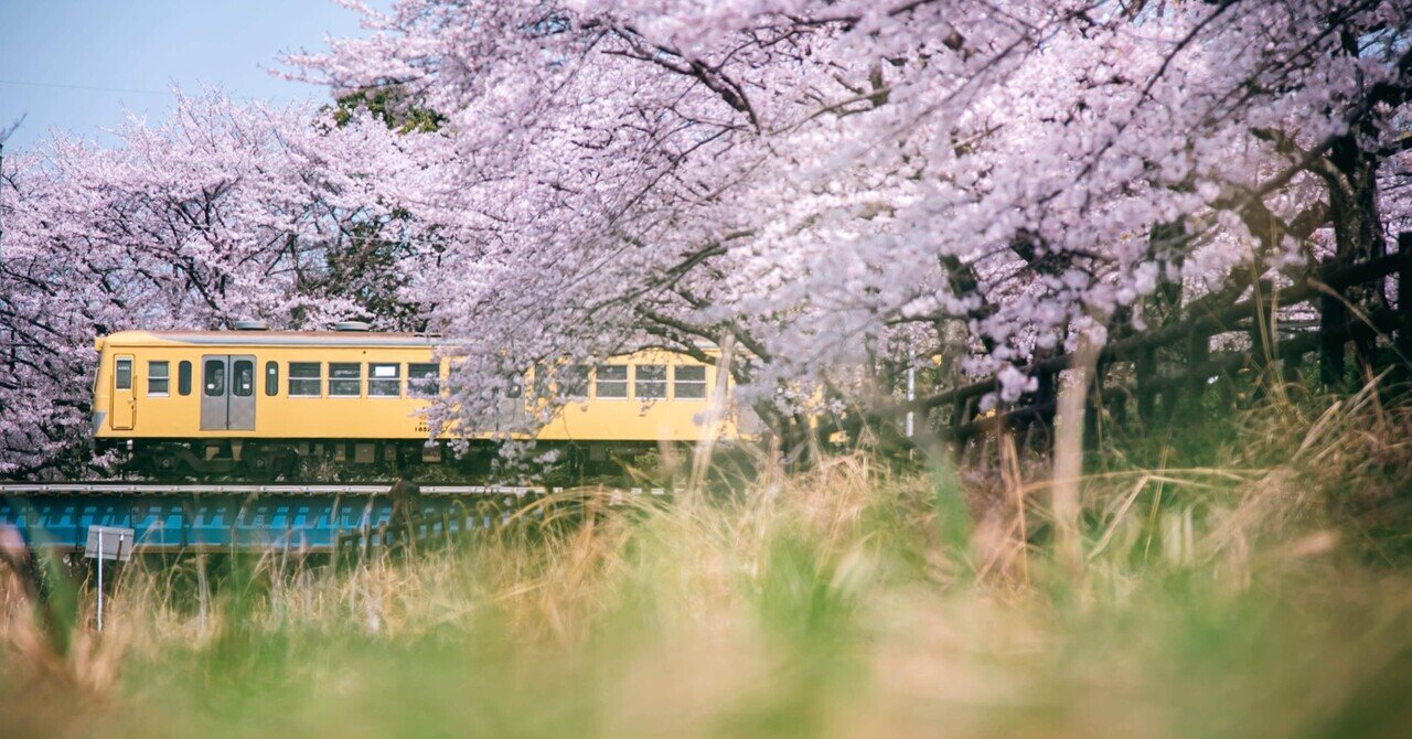 鉄道風景 桜を撮る in 三岐鉄道｜、、、