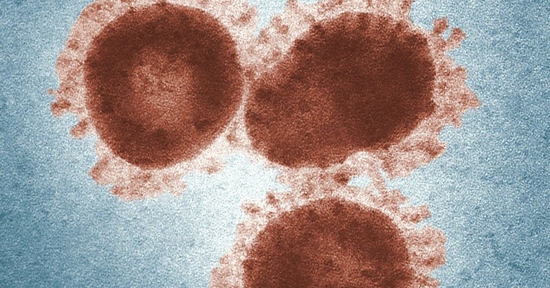 2019-nCoVとはどんなウイルス？感染源は何？