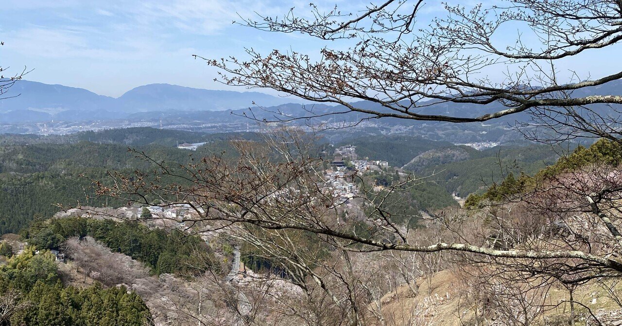 吉野山のさくら｜y hidetoshi