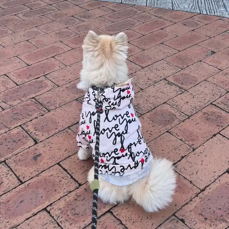 えみゅ