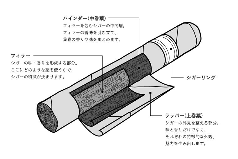 シガー 方 わかば 吸い わかば、エコーが紙巻からリトルシガーに。時代を感じますね…