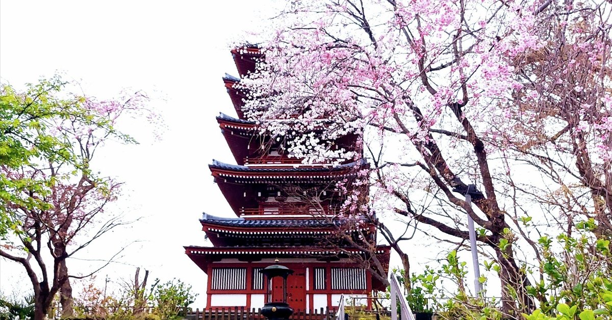 満開の桜に包まれた寺院、 桜、春、寺社仏閣