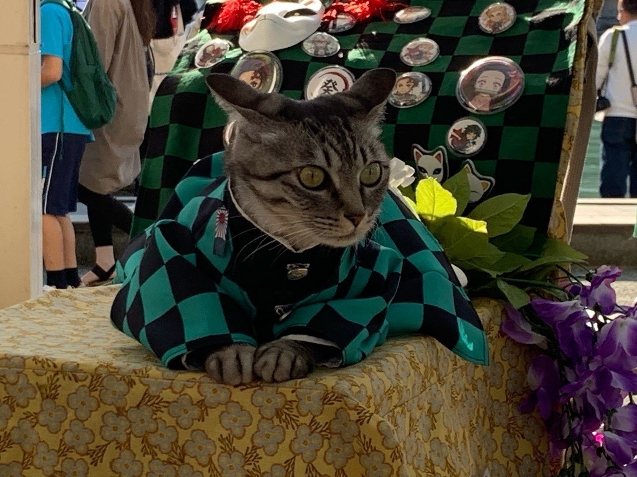 ログラインから分析するロッキーから鬼滅の刃までの面白いストーリーに共通する考え方について ヤンクロフス機tokyo Note