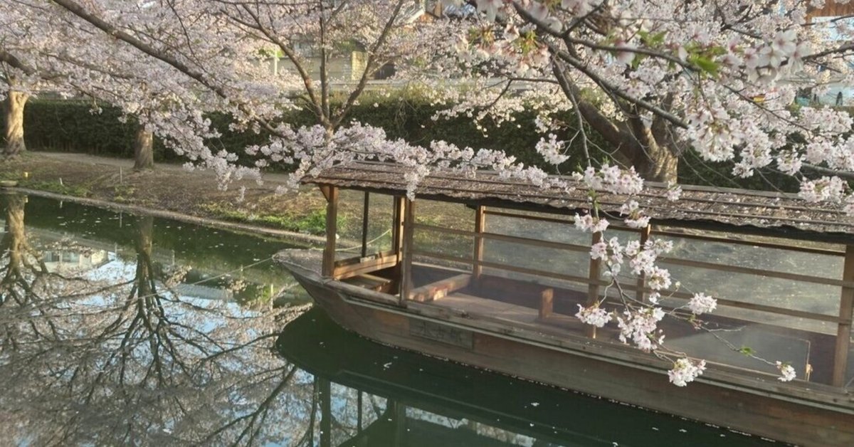 京阪・中書島】伏見十石舟と桜開花状況2025/4/8 秀吉が作り龍馬