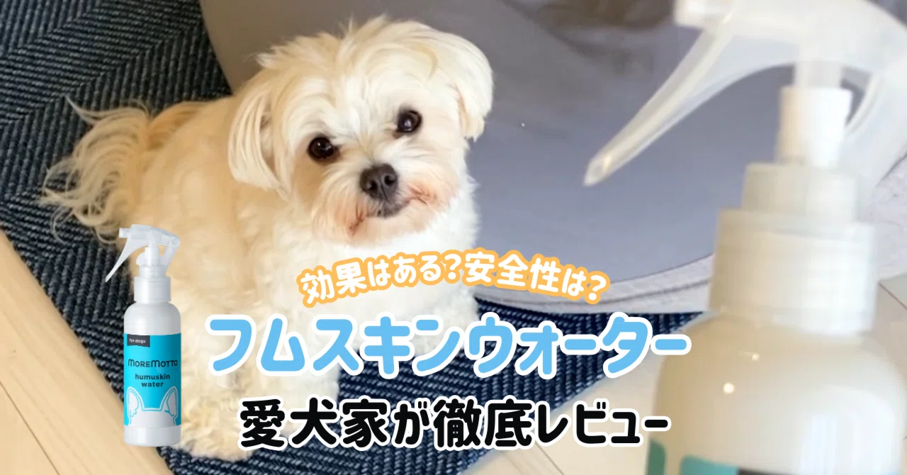 フムスキンウォーターは口コミが悪い？怪しいって聞くけど本当？効果や
