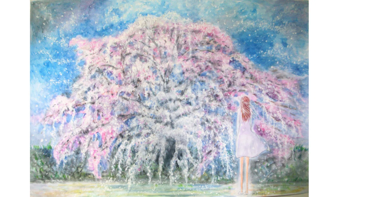 桜吹雪｜マシュー・カサイ