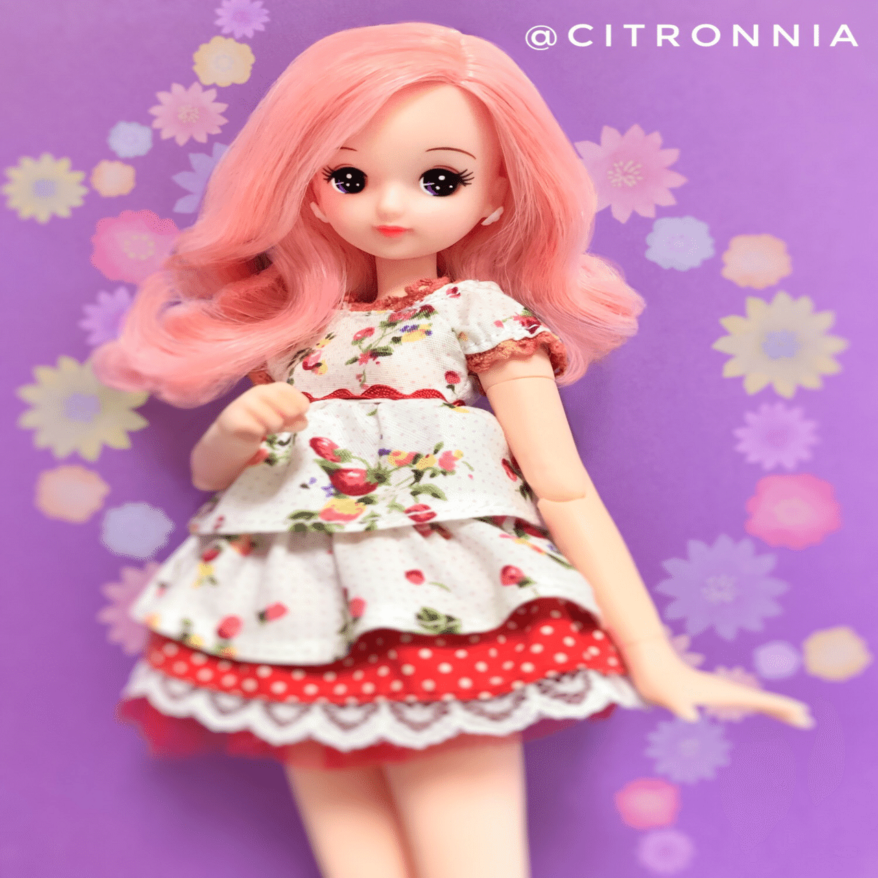 リカちゃんフレンド等(リカちゃんキャッスル編)①｜citronnia