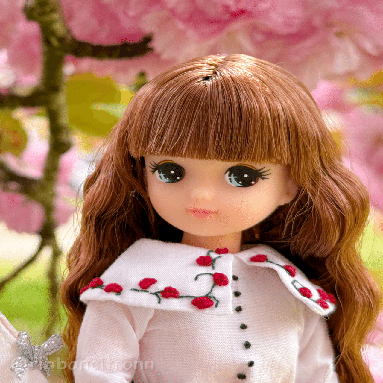 リカちゃんフレンド等(リカちゃんキャッスル編)①｜citronnia