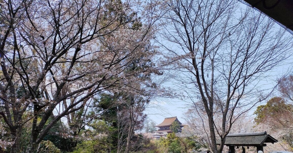 吉野山の桜、金峯山寺（きんぷせんじ）と修験道のこと｜渡辺（読書/散歩）